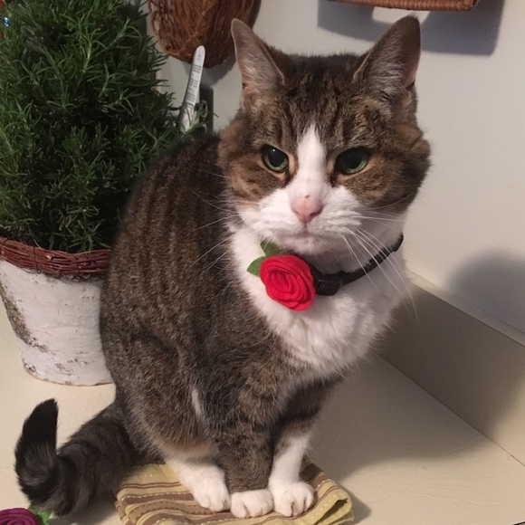 💜▪️💜TAKE A LOOK!▪️💜▪️ - Picture 4 of 5